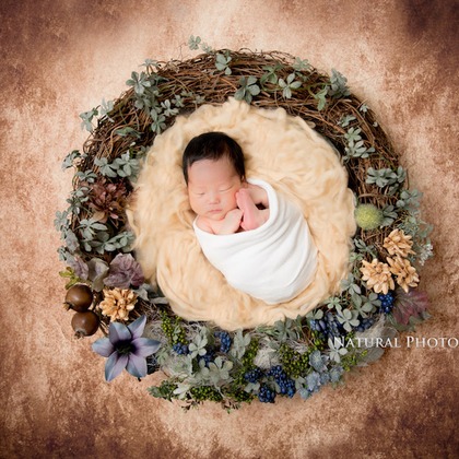 Keiko Yuzawaが撮影したスタジオ撮影の写真