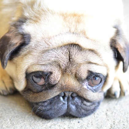 Peace-full photoが撮影した「:albumName」の写真