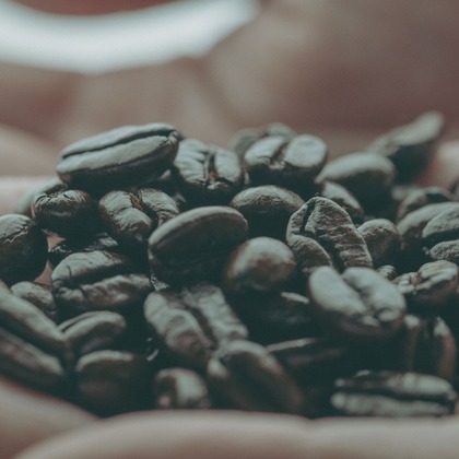 ケイムラナカが撮影した「:albumName」の写真