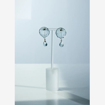 白井由香里写真事務所が撮影した「:albumName」の写真