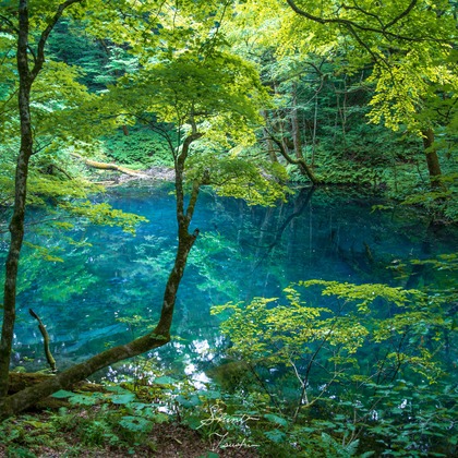 Shintaro Tsushimaが撮影した店舗/オフィス/サロン撮影の写真