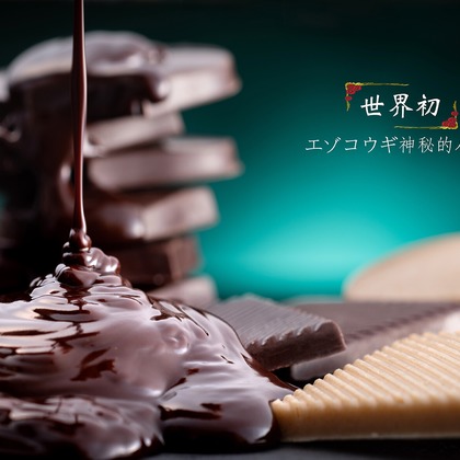 ワンツーBフォトが撮影した「:albumName」の写真