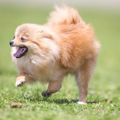 写楽堂が撮影したその他の写真