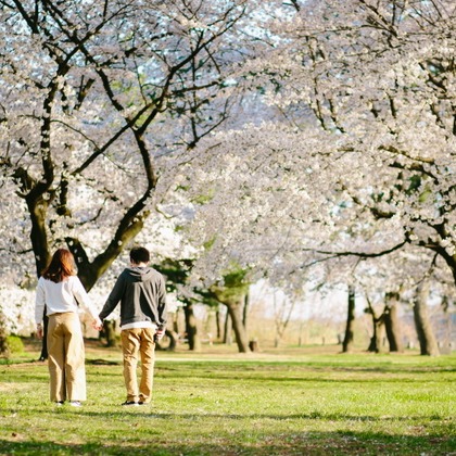 Photo of sakura.at Maebashi taken by タカラモノ.foto