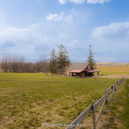 株式会社バックオフィスアクティが撮影した「:albumName」の写真