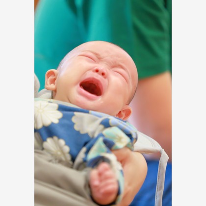 （株）建基が撮影した「:albumName」の写真