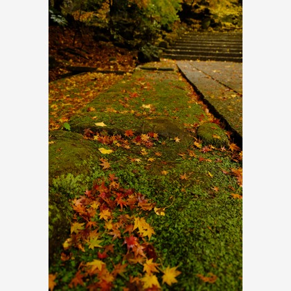 KotobukiPhotosが撮影した「:albumName」の写真