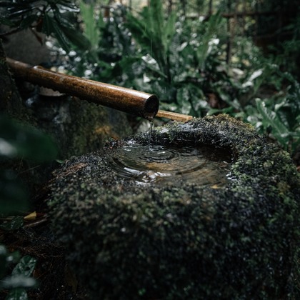 鈴木香那枝が撮影した「京都府中川町の取材撮影」の写真