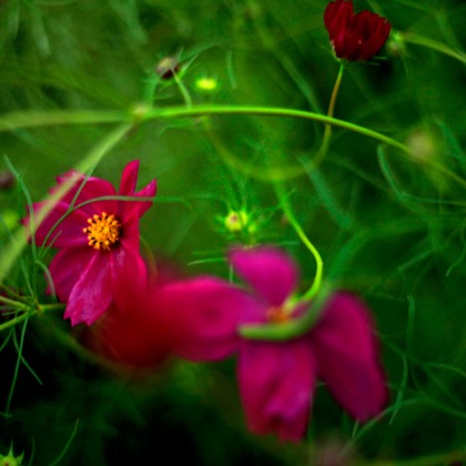 写真屋gonree　阿波根里恵が撮影した旅行先の記念撮影の写真