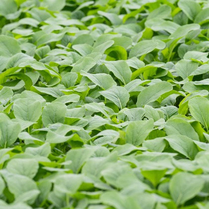 出張撮影TLaboが撮影した店舗/オフィス/サロン撮影/商品/物撮りの写真