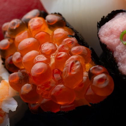 写真屋ごんちゃんが撮影した「:albumName」の写真