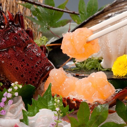 ワンツーBフォトが撮影した「:albumName」の写真