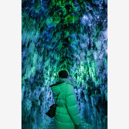 株式会社バックオフィスアクティが撮影した「:albumName」の写真