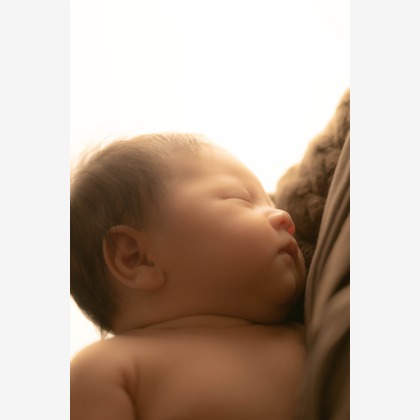 後藤豊陽が撮影したウェディングや家族、ビジネスの写真