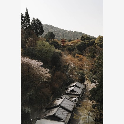 三谷 朋也が撮影したその他の写真