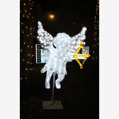 ＮＫ フォトエージェンシーが撮影したその他の写真