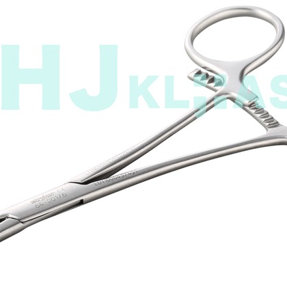 西原毅が撮影した「:albumName」の写真