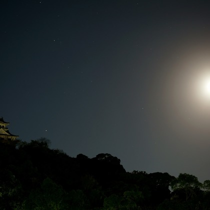 出張撮影のメモリーズが撮影した「:albumName」の写真