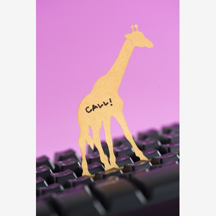 有光こうじ写真事務所が撮影した「物撮り」の写真