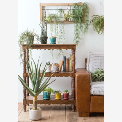 Yoppegraphy Photographic Serviceが撮影した「:albumName」の写真