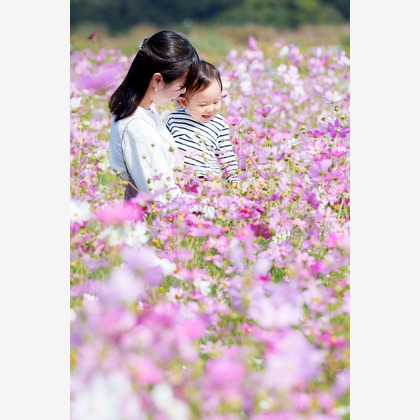 lino-'akaが撮影した「:albumName」の写真