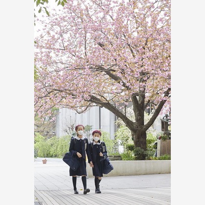 bluevalleyが撮影したウェディングや家族、ビジネスの写真