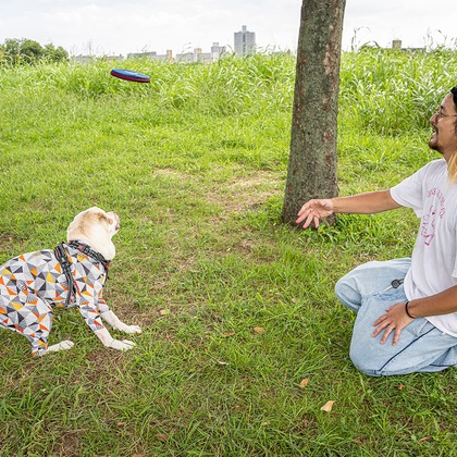 吉田佳央が撮影した「DOG SHOOTING」の写真