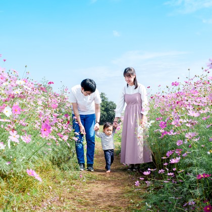 lino-'akaが撮影した「:albumName」の写真