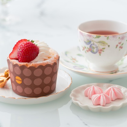 SEE LIKE PHOTOが撮影したウェディングや家族、ビジネスの写真