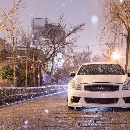 酒井 真於が撮影したその他の写真