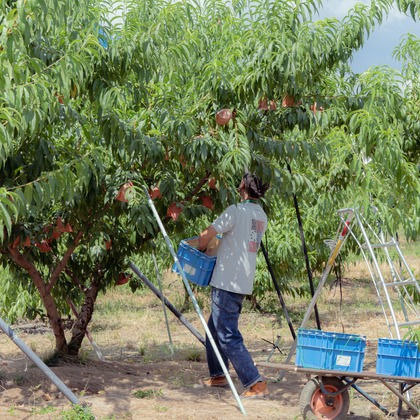 umimoyamamoworksが撮影した「:albumName」の写真