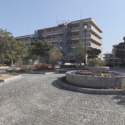 谷崎 春彦（T-Studio）が撮影したウェディングや家族、ビジネスの写真