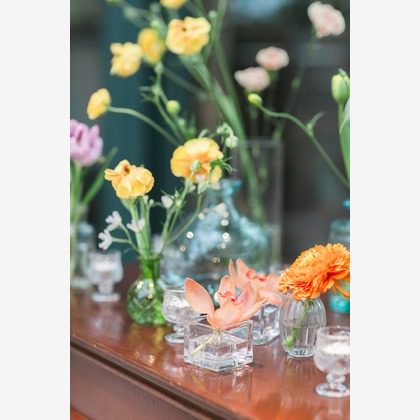 Yuki Shimada Photographyが撮影した「:albumName」の写真