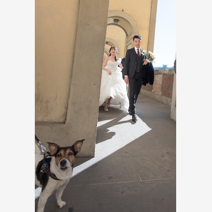 Photo of :albumName taken by MOMO