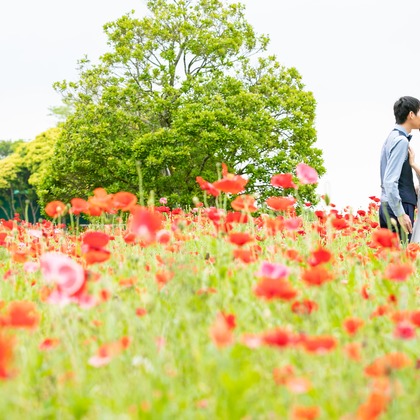 meganecco Photographyが撮影したウェディングや家族、ビジネスの写真