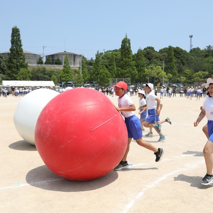 HARAデザインが撮影したウェディングや家族、ビジネスの写真
