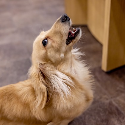 沖山俊樹が撮影した「:albumName」の写真