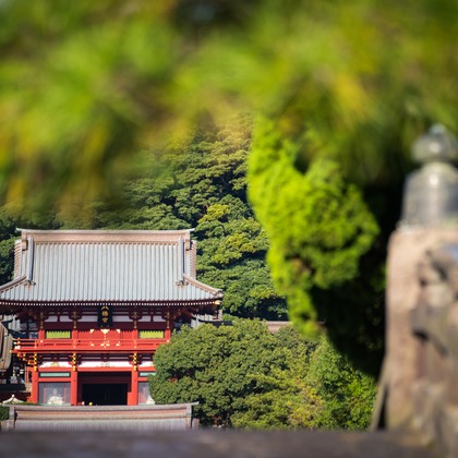 Aya Petite Photographyが出張撮影した「七五三出張撮影」の家族写真