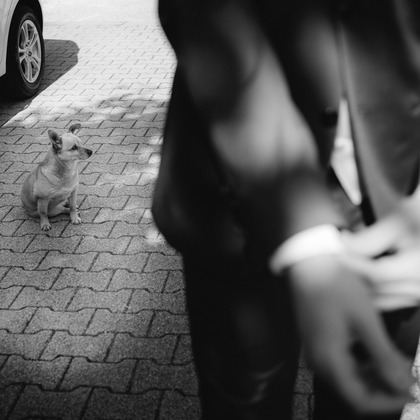 Wedding, Bridal Photos taken by Renato Zanette 