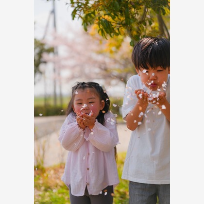 秋山諒輔が撮影したウェディングや家族、ビジネスの写真