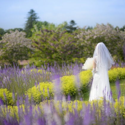 Photo of :albumName taken by C.RELATIONS