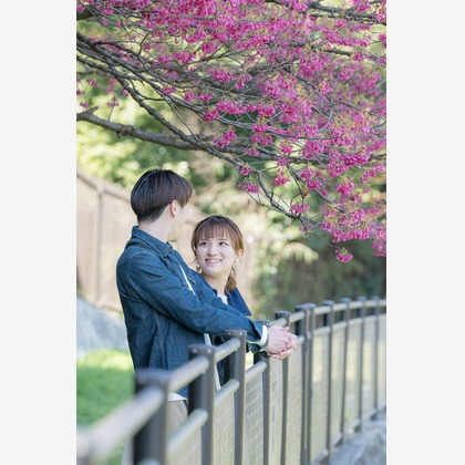 漆山弾が撮影したその他の写真