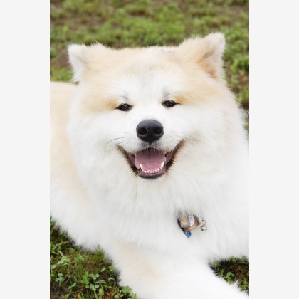 森安　照が撮影した「:albumName」の写真