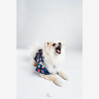 Ray Yamaguchiが撮影した「:albumName」の写真