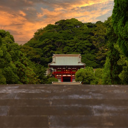 沖山俊樹が撮影したその他の写真