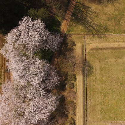 アナハイムエレクトロニクスが撮影したイベント/スナップ撮影の写真