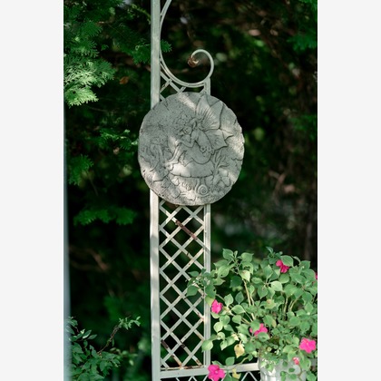 山﨑さと子が撮影した「:albumName」の写真