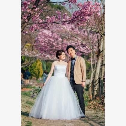 Rocographyが撮影した「:albumName」の写真