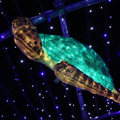 ＮＫ フォトエージェンシーが撮影したその他の写真