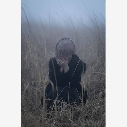 ならもとかずやが撮影した「:albumName」の写真